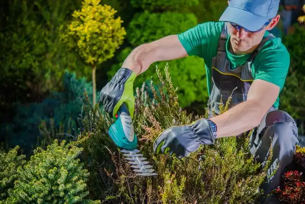 landscaping services Clever